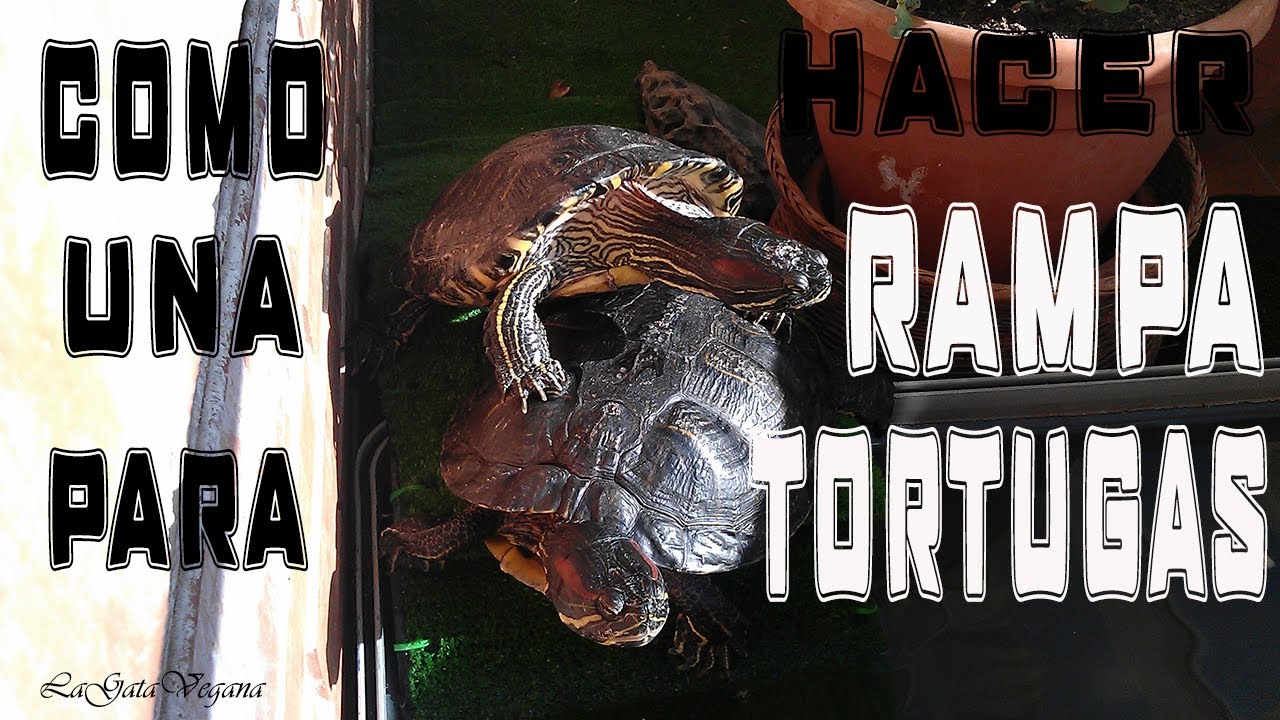 COMO HACER UNA RAMPA PARA UN ESTANQUE DE TORTUGAS / RAMPA CASERA,BARATA Y REUTILIZANDO