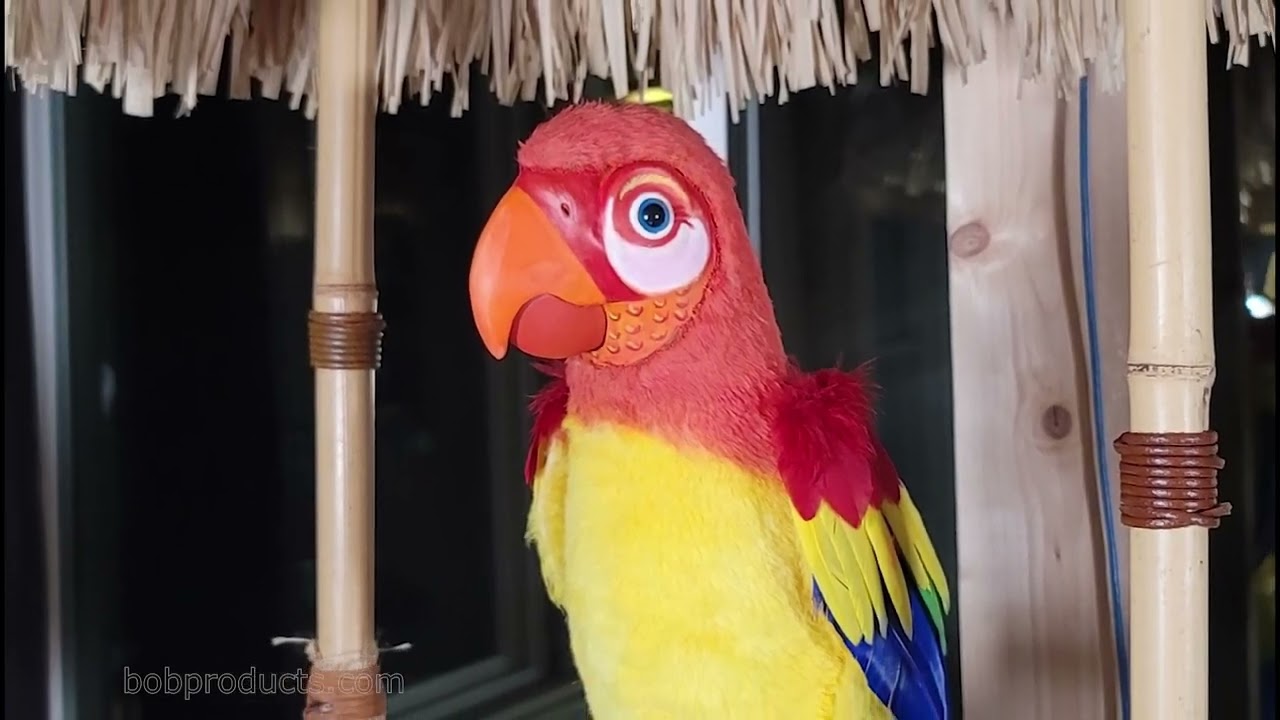 Enchanted Tiki Room Birds Replicas Animatronic Robotic Four Main Characters