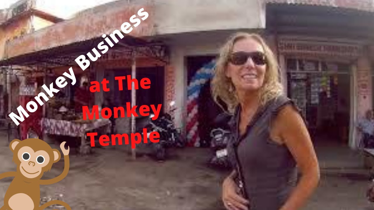 🇮🇳 The Hanuman Ji Monkey Temple in Jaipur, India. Worth the walk? Too far for Bald and Bankrupt?