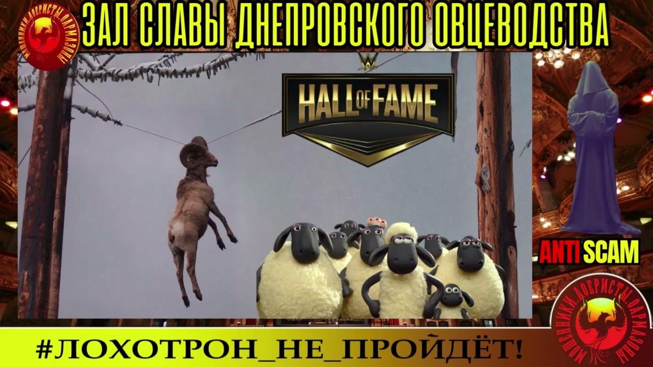 AntiScam. Станислав🔥✅ЗАЛ СЛАВЫ ДНЕПРОВСКОГО ОВЦЕВОДСТВА🔴ФРОД, МОШЕННИЧЕСТВО, СКАМ, ТРОЛЛИНГ