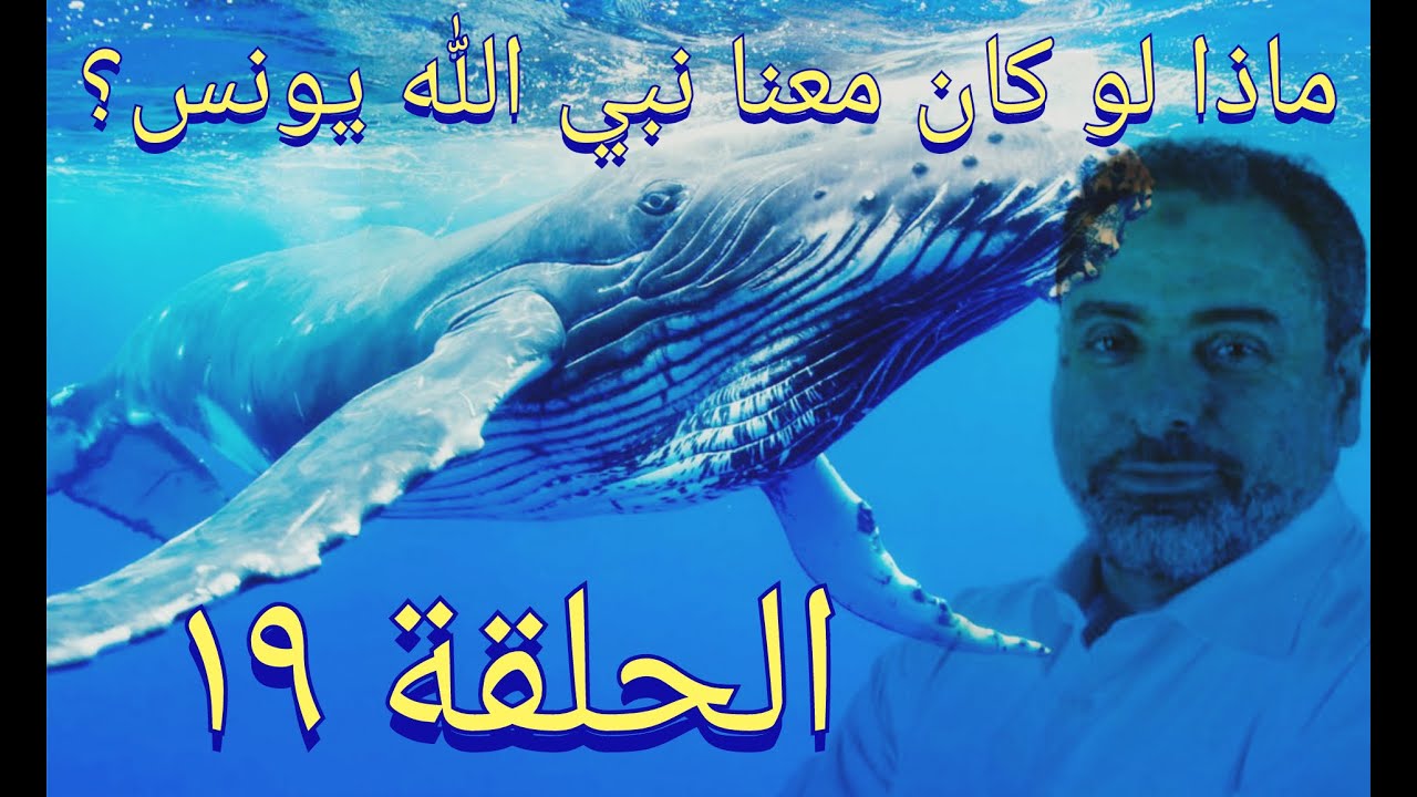 فيديو# ١٩ ماذا لو كان معنا يونس ﷺ ؟ تدبر آيات ٦٣-٦٦ من سورة يونس