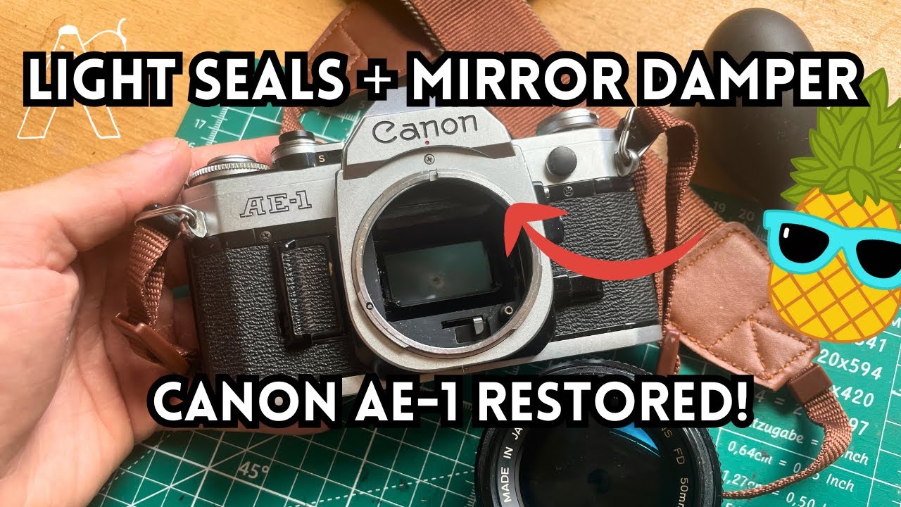 Canon AE-1 Restoration – Light Seal & Mirror Damper Replacement + Exterior Cleaning