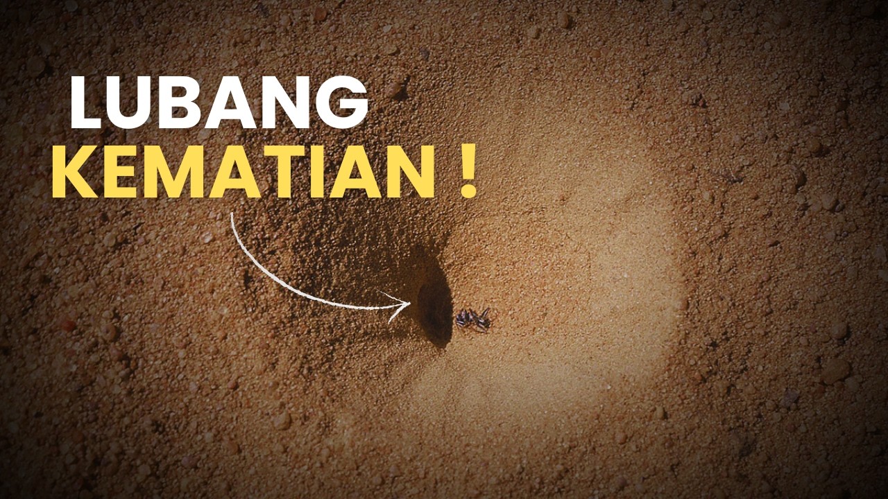 Undur-Undur: Antara Kesabaran dan Perangkap Mematikan