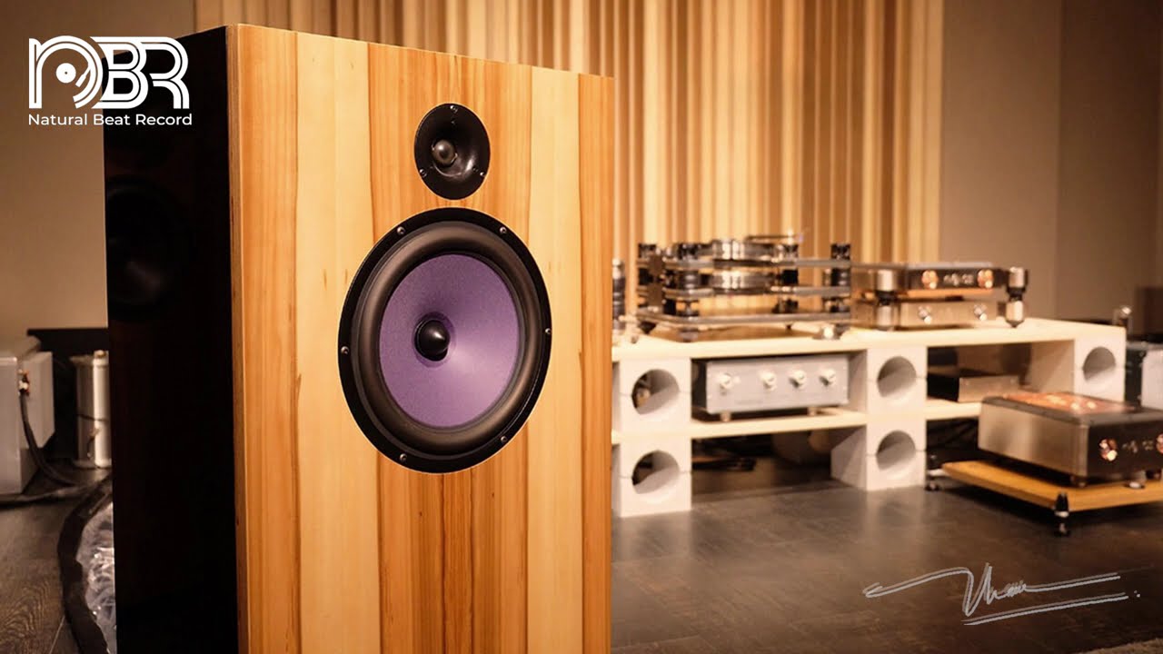Коллекция аудиофильской музыки 2021 года &mdash; Аудиосправочник &mdash; Audiophile NBR Music