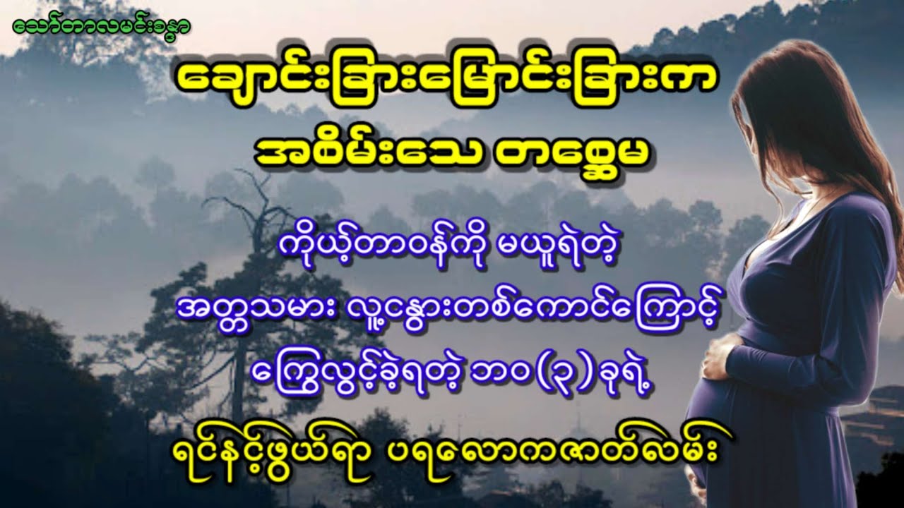 ကိုယ့်တာဝန်ကိုမယူရဲတဲ့ အတ္တသမားလူ့ငနွားတစ်ကောင်ကြောင့် ကြွေလွင့်ခဲ့ရတဲ့ ဘဝ(၃)ခုရဲ့ရင်နင့်ဖွယ်ရာ