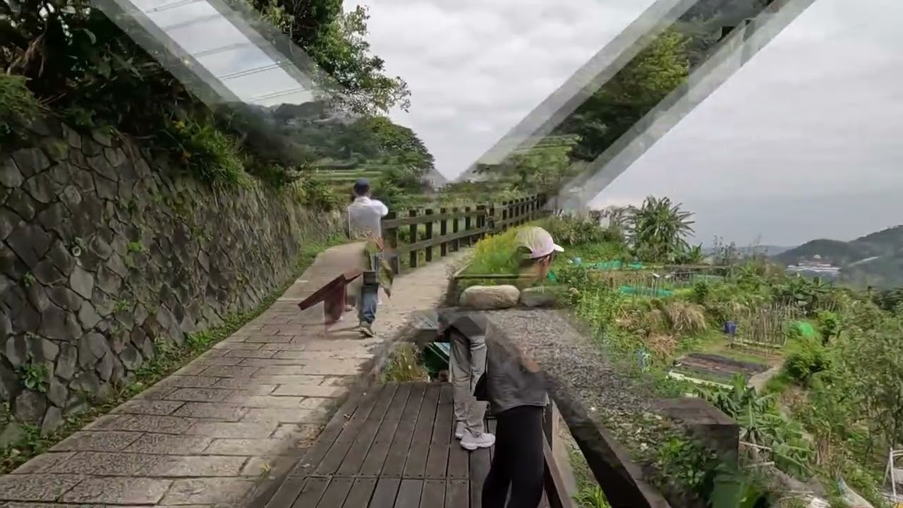 政大後山 | 飛龍步道 | 樟山寺 | 樟樹步道 | 貓空