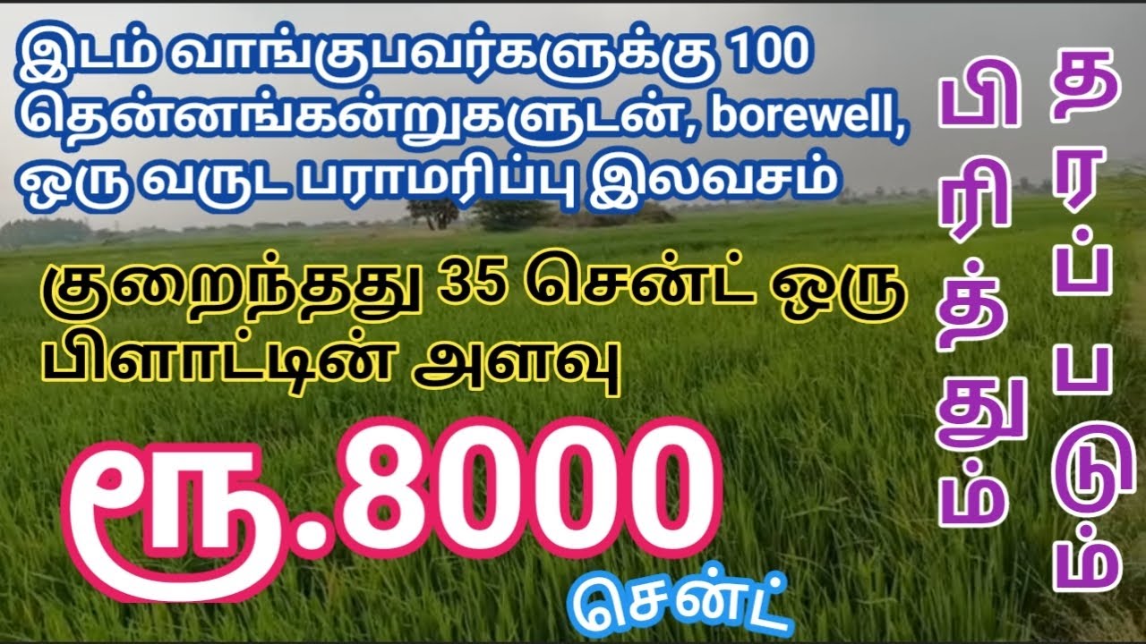 ரூ.8000 சென்ட் நல்ல ஒரு செம்மண் விவசாய நிலம் விற்பனைக்கு| Farmland for Sale | GK Housing Properties 