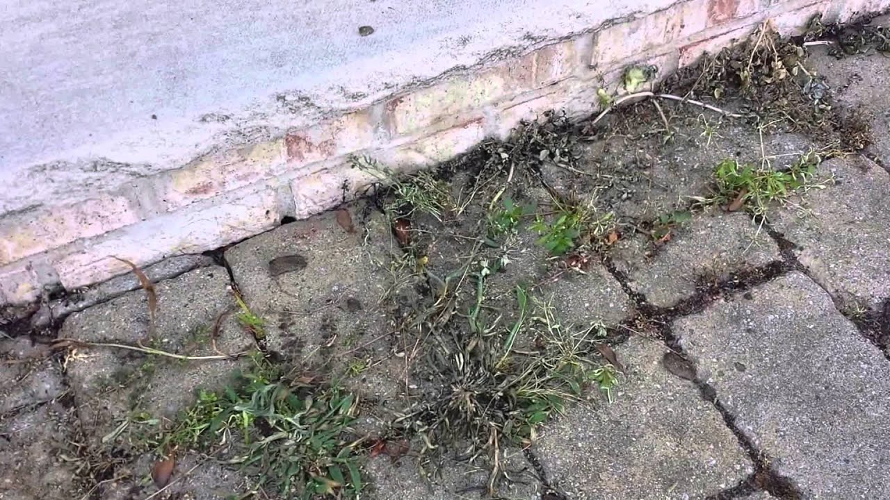 Flame Weeding in the Garden and Around Pavers