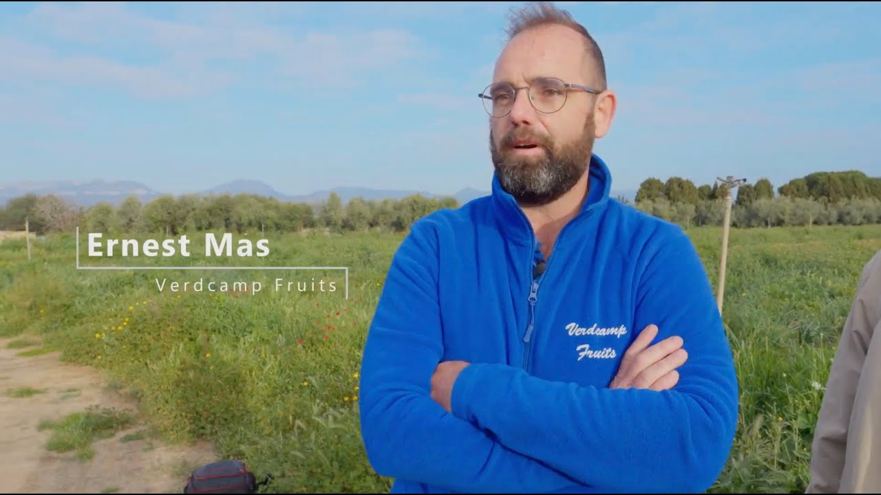 Ernest Mas, Verdcamp Fruits. Agriculture du sol vivant dans une exploitation maraîchère.