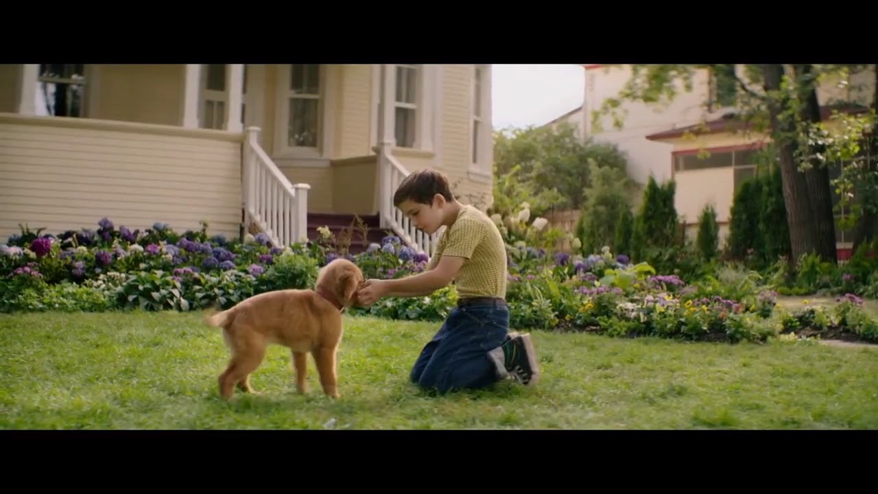 So God made a dog