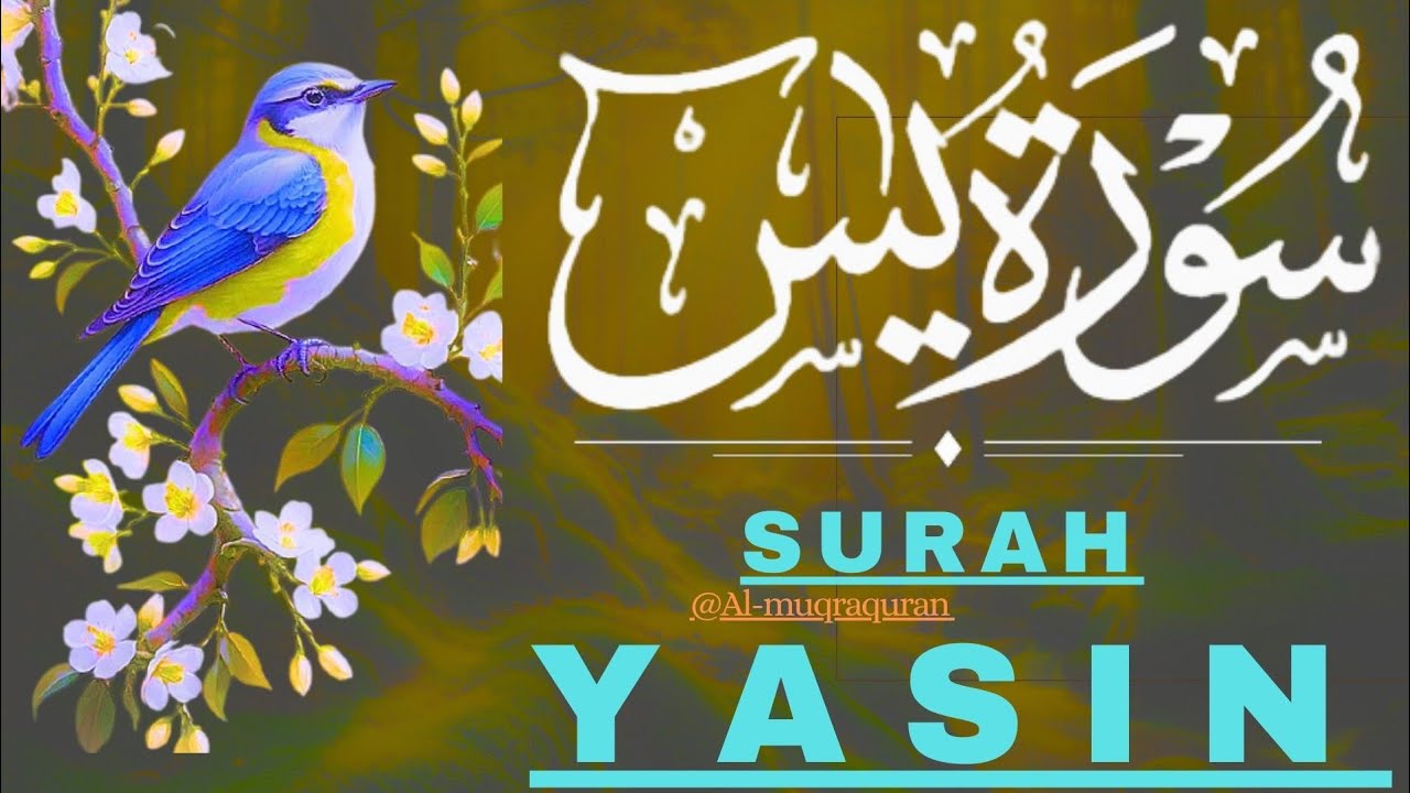 Surah Yaseen Episode 44 | Heart Touching Quran Recitation | Al Muqra