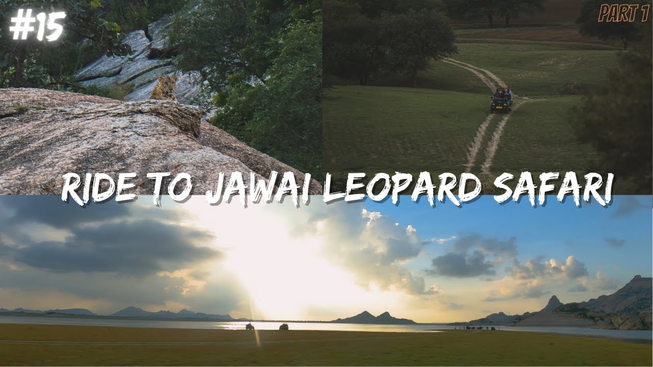 Jawai Leopard Safari | Bera Rajasthan | Jawai India's Leopard hills | Road Trip with Bike Roamers