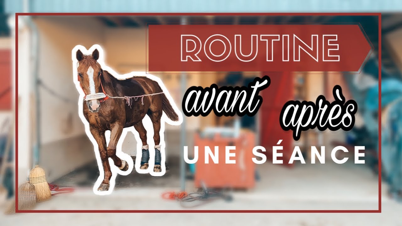 Routine avant et apr&egrave;s une s&eacute;ance de Saut !