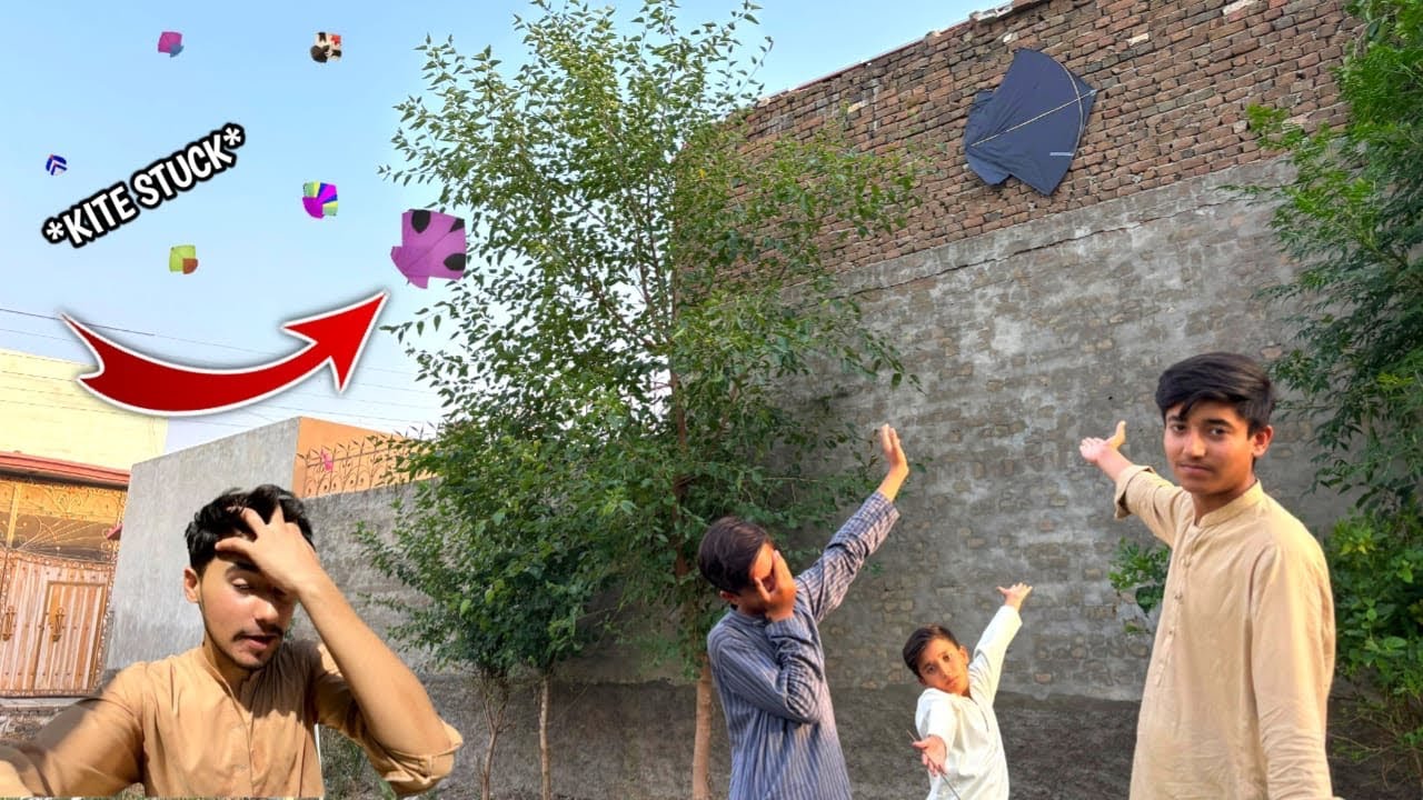 *Kite stuck*😱|| Big loss😢 || Kite flying🪁 || Kite caughting || Kite looting || Kite flying in field