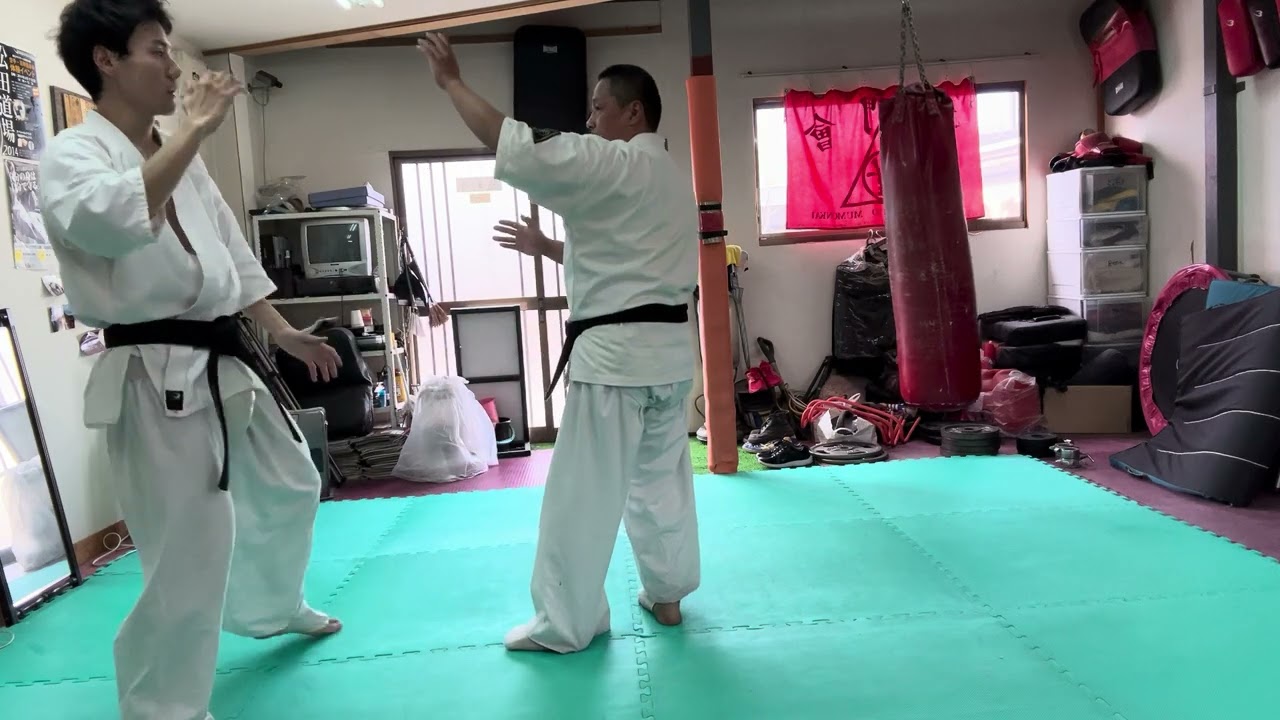 猫足立ち約束自由組手