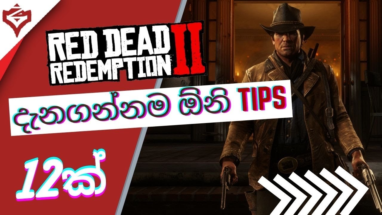 The ONLY ULTIMATE guide for Red Dead Redemption 2 in sinhala | EXTRA Tips (PART 4/4) | Ziscuit