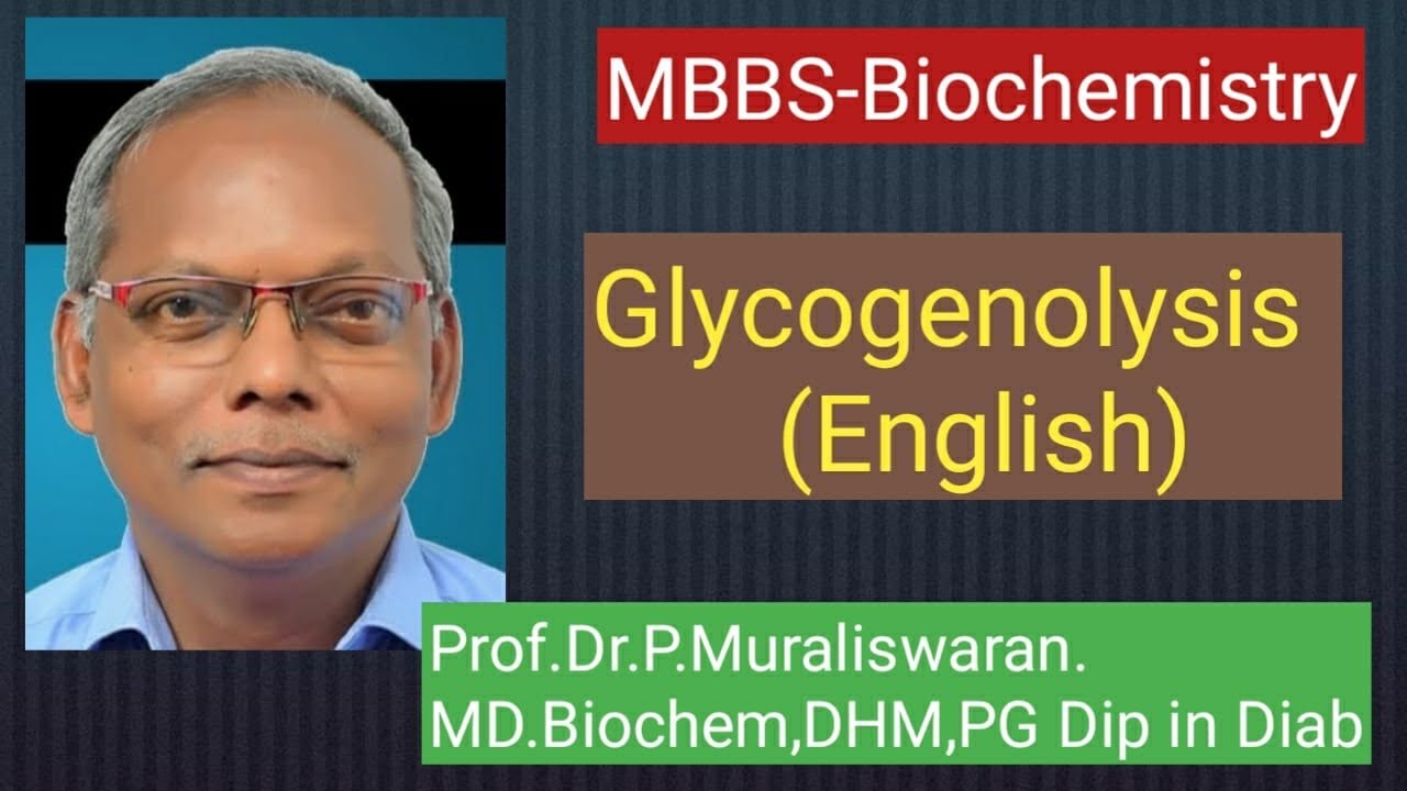 Glycogen metabolism-Glycogenolysis (english) #muralis simplified biochemistry 