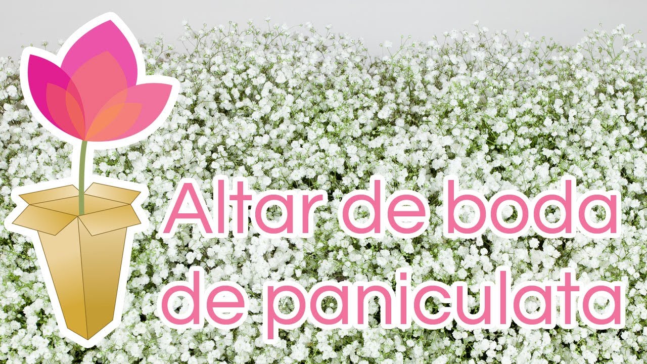 Cómo hacer un altar de boda de paniculata