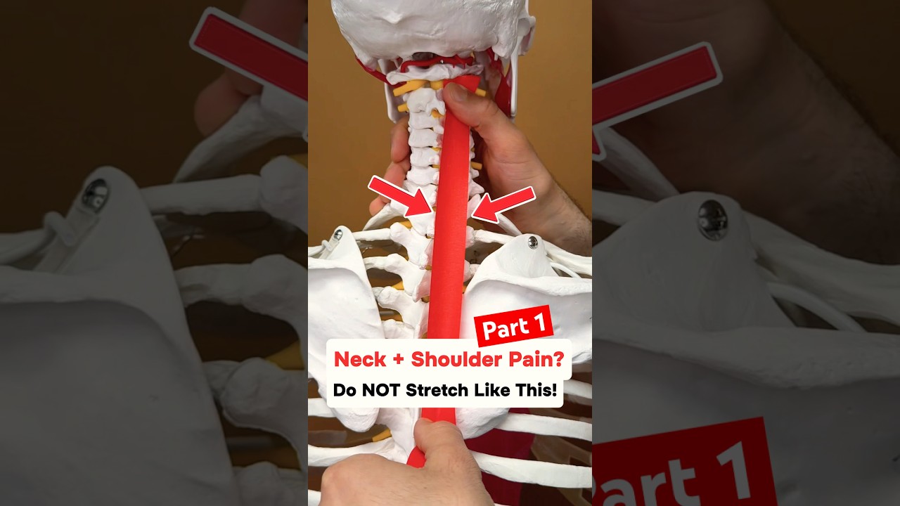 Part 1 of 2 &mdash; Neck + Shoulder Pain? Do NOT Stretch Like This! #neck #neckpainrelief #shoulderpain