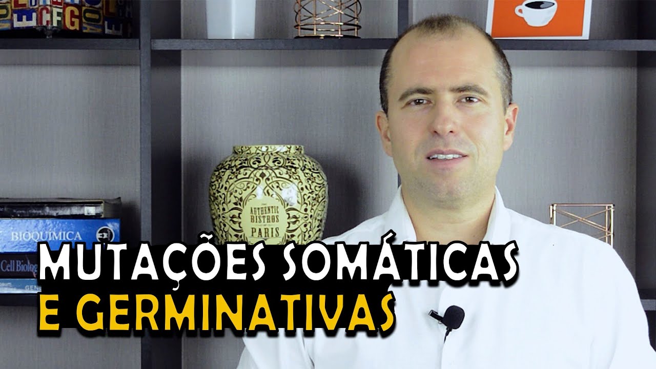 Mutações somáticas e germinativas. Qual a diferença entre elas?
