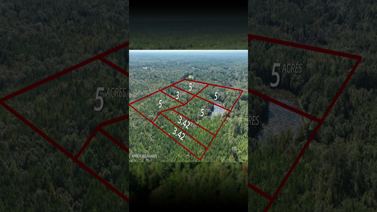 7 Lots Subdivision: Marengo County, AL &ndash; Unrestricted, Rural, Surveyed and Owner Financing! - Reel