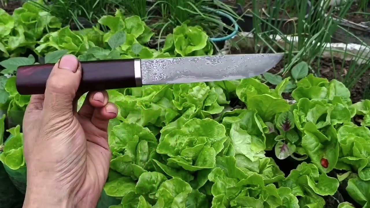 I used a concrete cutter and an old file to forge a Damascus knife. 