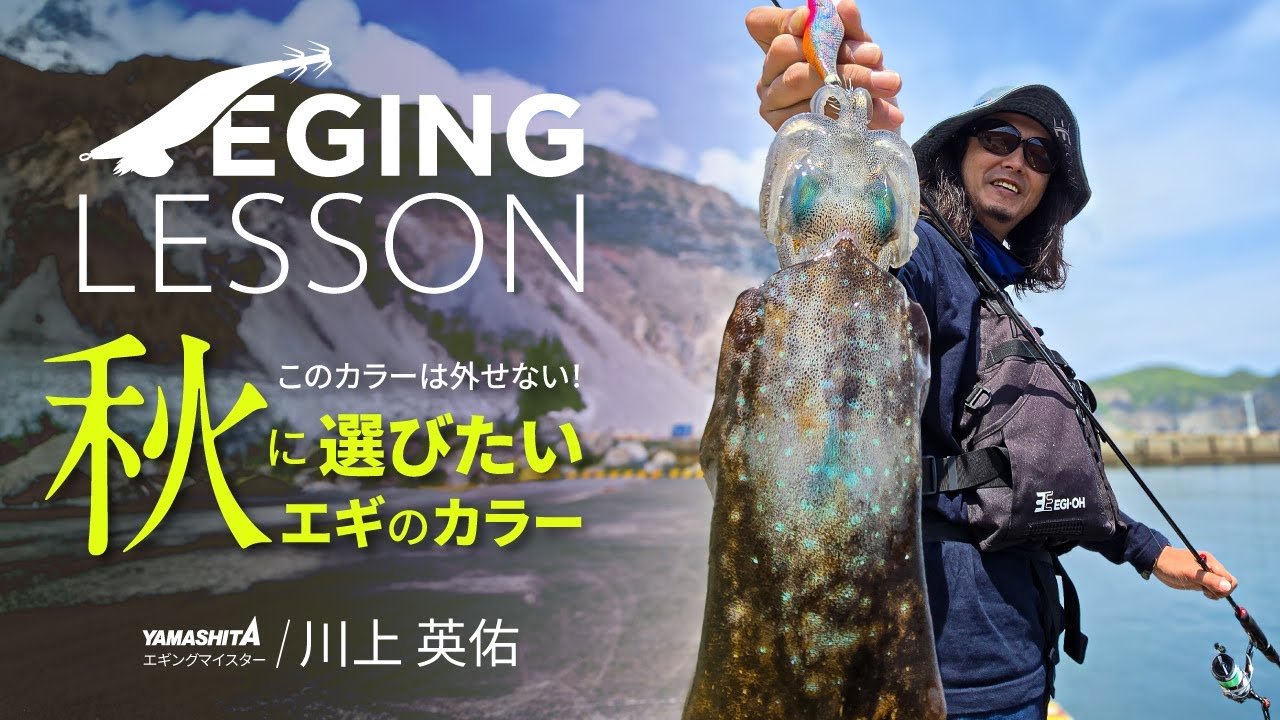 【秋エギング攻略】秋イカを釣る鍵はカラーとタイプ！初心者も釣果アップできるエギ選び【エギングレッスン】
