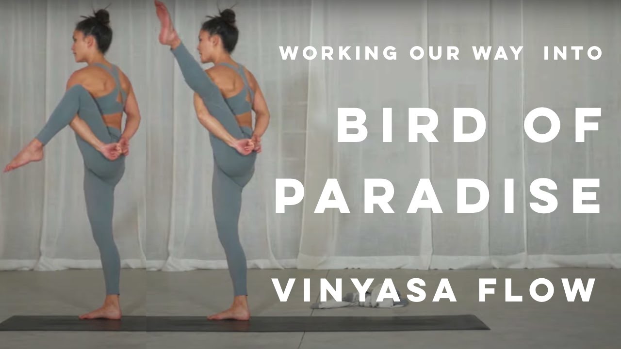 50-минутная йога среднего уровня Виньяса Флоу — Bird of Paradise 2021