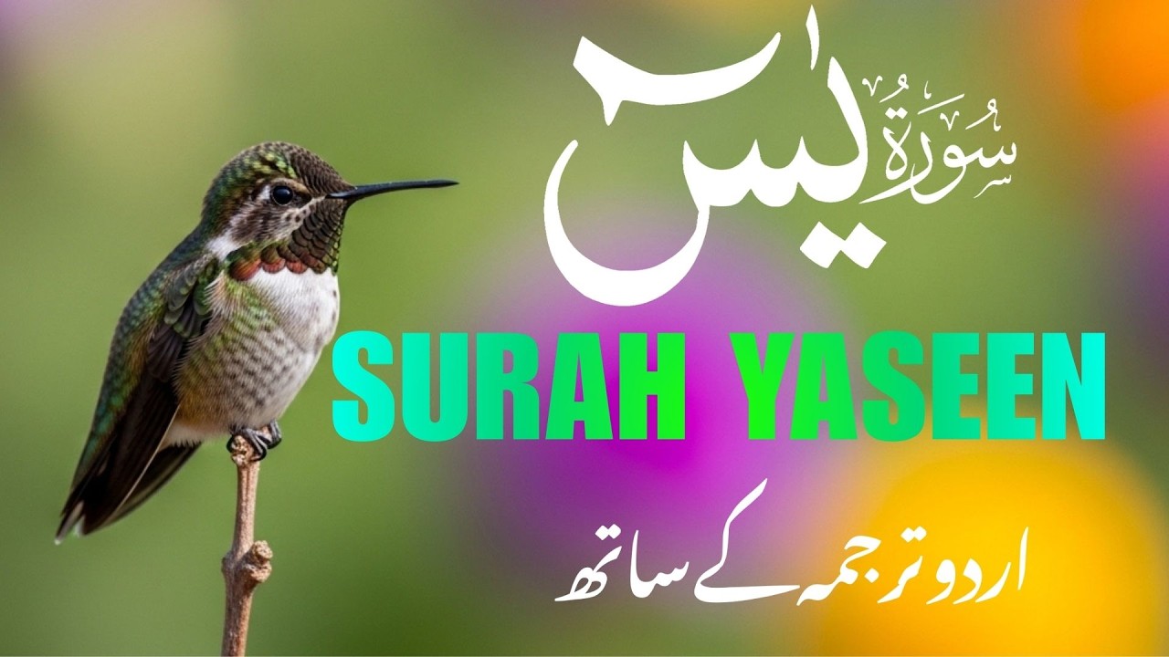 Surah Yaseen with Urdu Tarjuma | Hindi Translation | Soul Soothing Tilawat