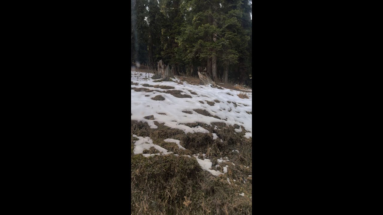 reached to pahalgam