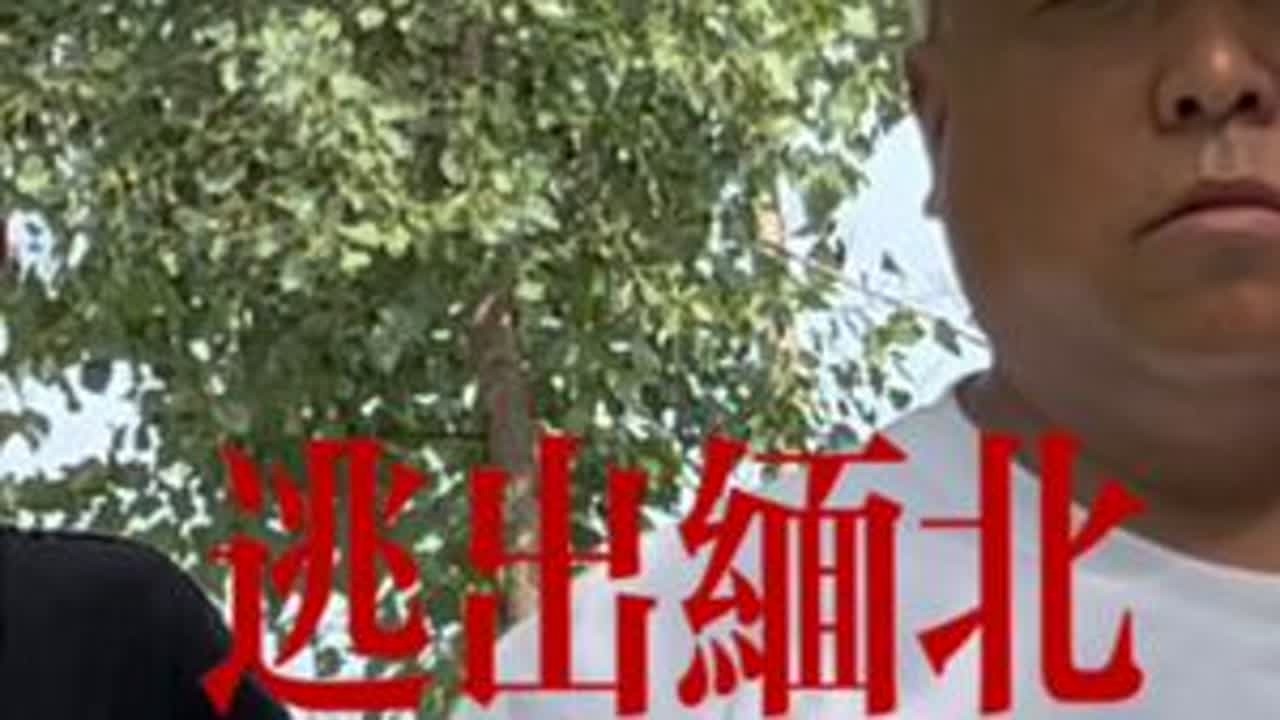 三婶子家的二狗窝不窝囊，你说了算，看看够不够硬气#看一遍笑一遍 #农村原创视频 #反诈