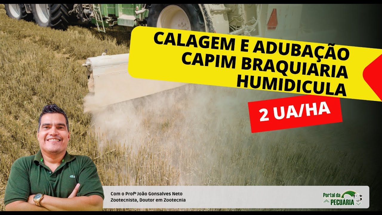 Calagem e adubação para capim Braquiaria humidicola 2 UA ha