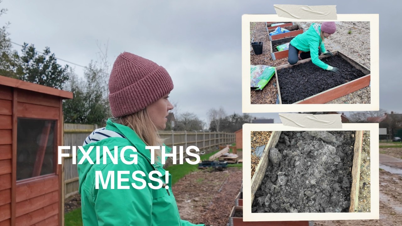 Fixing My Allotment After BAD Compost 🌱 Can Manure Save My Beds?