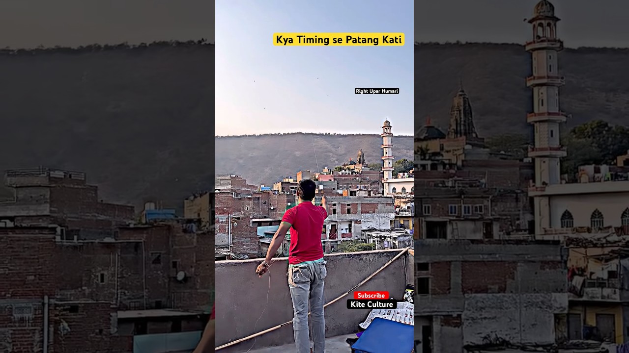 Dangerous Pech Kata #viralvideo #kiteflying #kite #patang #kitefighting #kitelover #shorts