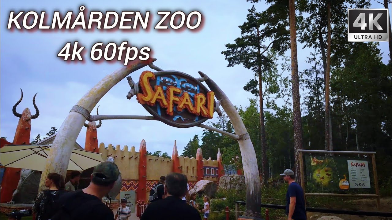 KOLM&Aring;RDEN ZOO 🐅 🐘 NORRK&Ouml;PING (SWEDEN) // Dolphin Show, Cable Car Safari, Landscapes, Animals