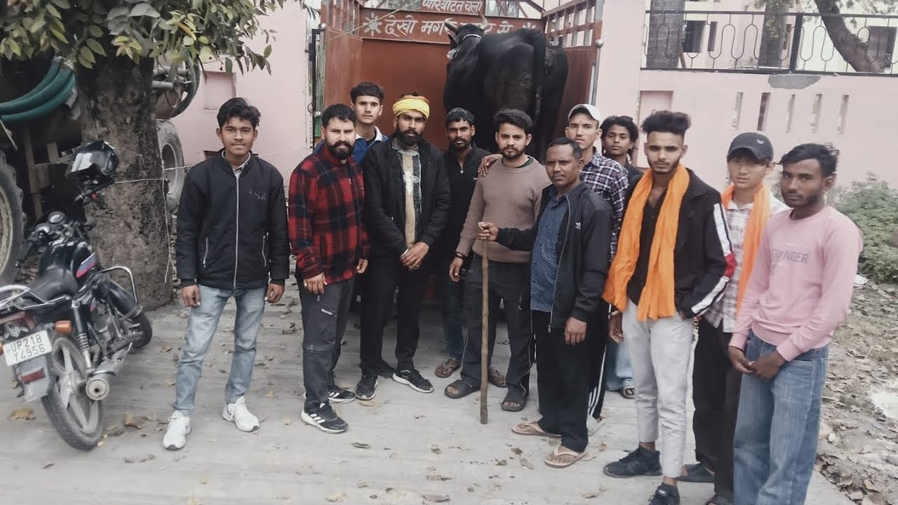 Go mata koi film nahi hai ☝️Na ye To ❤️ राम राम 🙏  #youtubeshorts #hindu #gomata #fullpublic  