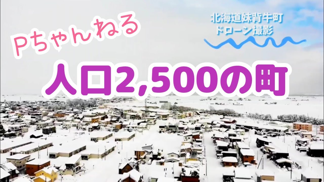 【ドローン撮影】人口2,500人 夏の北海道妹背牛町#ドローン空撮
