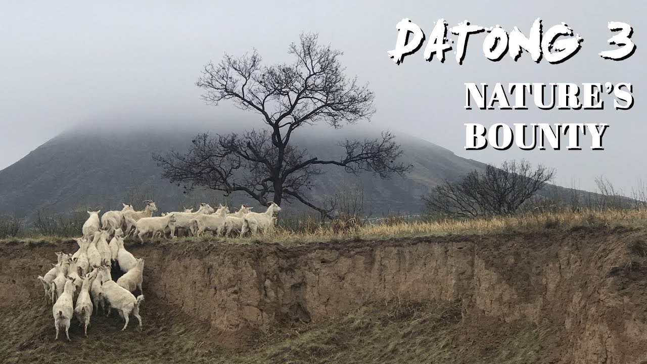 Datong 3: Nature's bounty