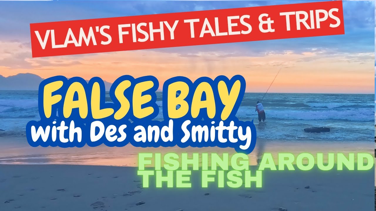 VFT - False Bay - Dancing Around the Fish