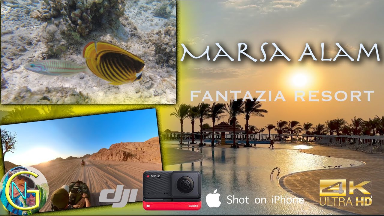 Marsa Alam, la nostra settimana al Bravo Fantazia Resort: snorkeling, delfini, quad nel deserto.