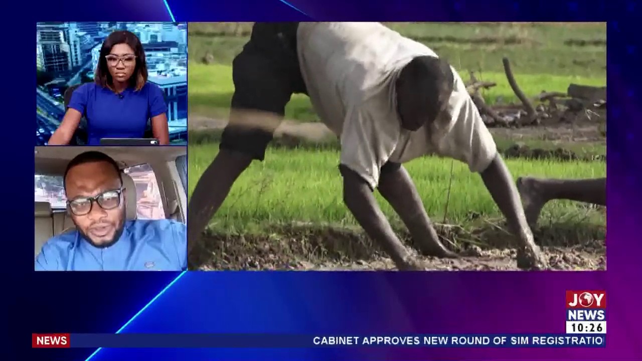 Agric Sector: Group warns Ghana's food security is at risk due to disruptions from Hormuz crisis