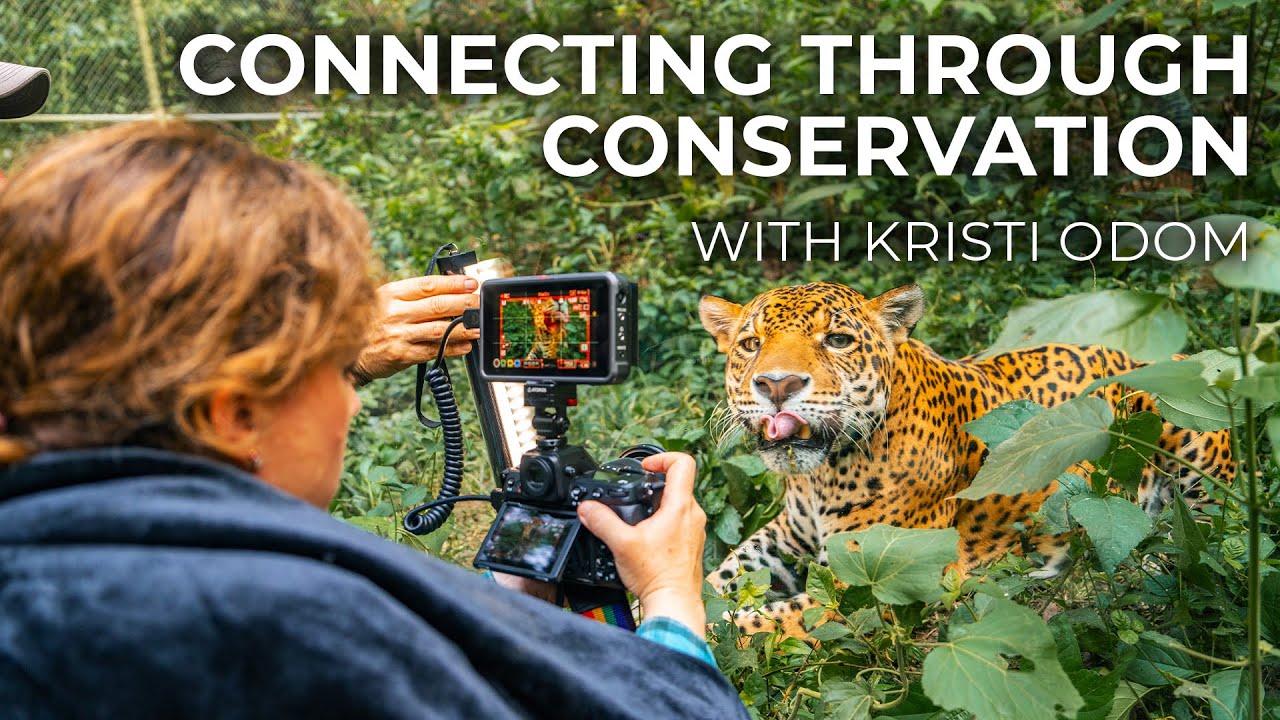 Wildlife Conservation Through Photography with Kristi Odom