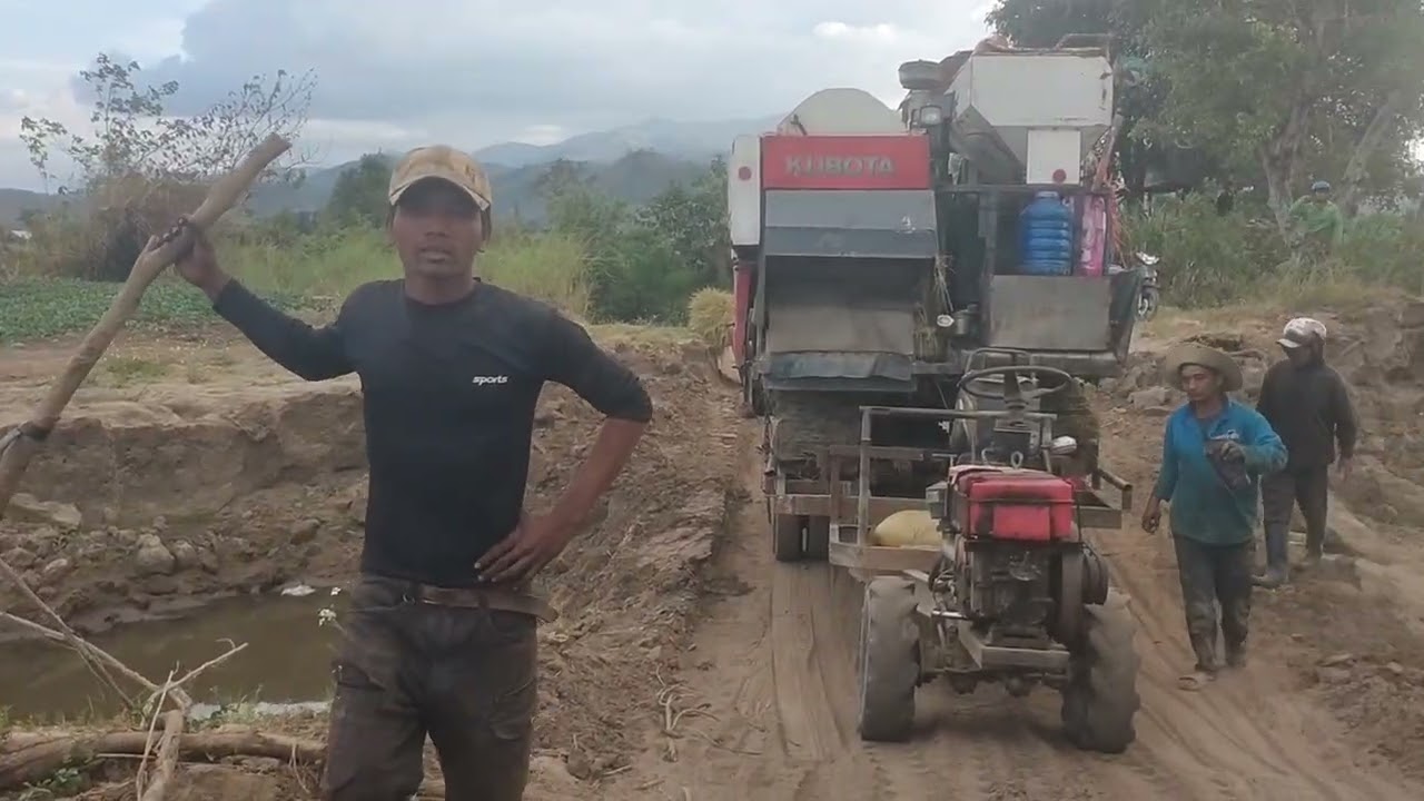 Xe công nông chở máy cắt lúa và cái kết 