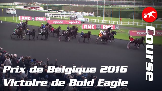 Prix de Belgique 2016, victoire de Bold Eagle - La course