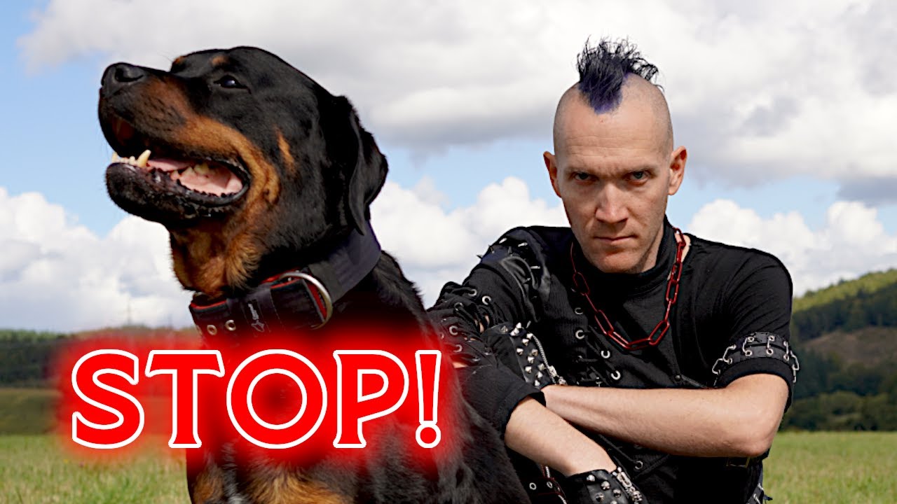 Die Top 5 der sinnlosesten Kommandos – die alle nutzen