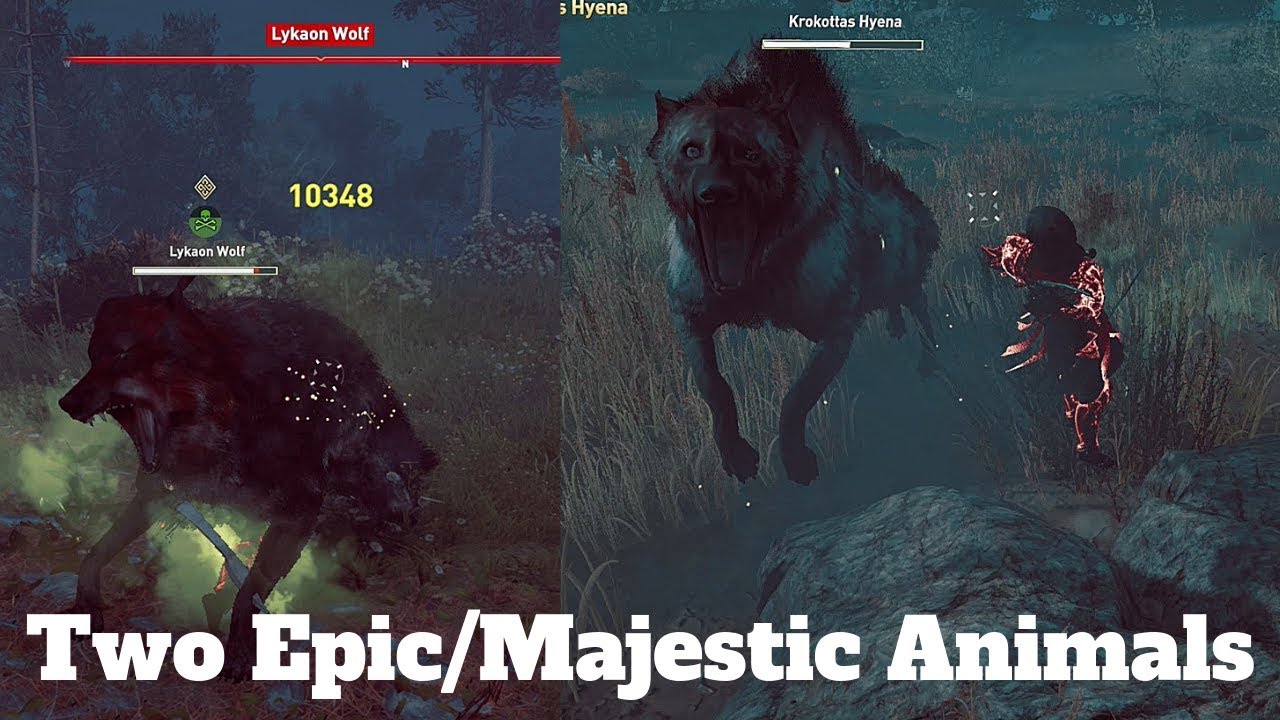 Lykaon Wolf and Krokottas Hyena - Assassin's Creed Odyssey
