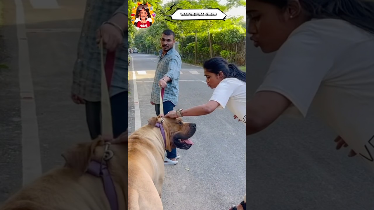 Actor Vijay சொத்து மதிப்பு #dare -333 #ABianAchu #trending #abn #aishadare