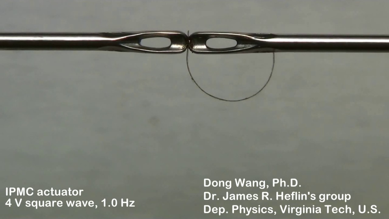 IPMC actuator 1.0 Hz
