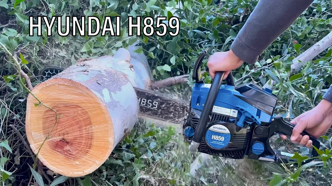 HYUNDAİ H859 Motorlu Testere İlk Kesimi !