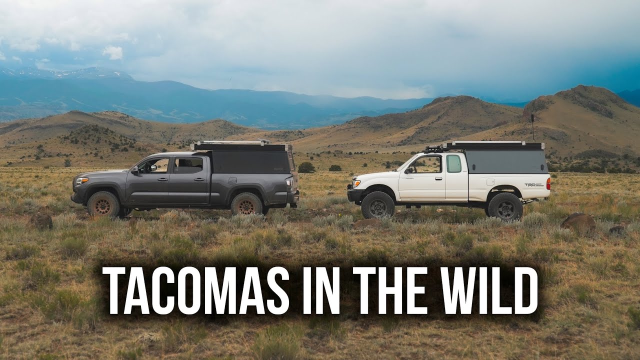 From Dirt Roads to Rock Arches – Overlanding Colorado in Tacoma Rigs